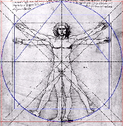 da vinci Goldener Schnitt
