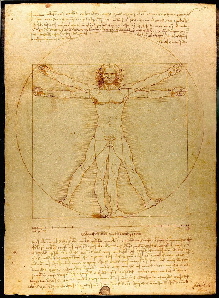 Vitruvian Man