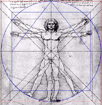 da vinci Goldener Schnitt da vinci Goldener Schnitt