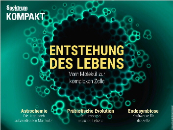 Entstehung des Lebens Spektrum