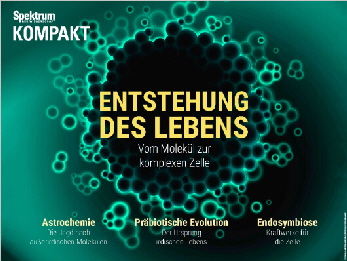 Entstehung des Lebens Spektrum
